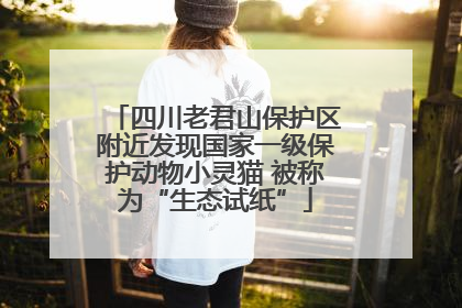 四川老君山保护区附近发现国家一级保护动物小灵猫 被称为“生态试纸”