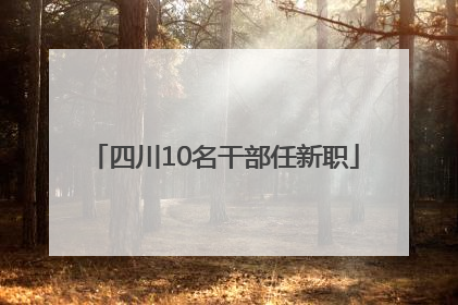 四川10名干部任新职