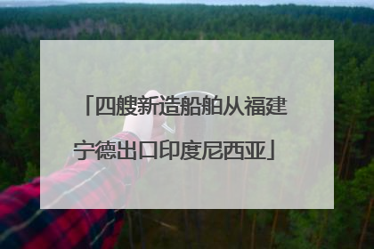 四艘新造船舶从福建宁德出口印度尼西亚