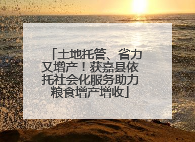 土地托管、省力又增产！获嘉县依托社会化服务助力粮食增产增收