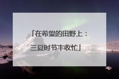 在希望的田野上：三夏时节丰收忙