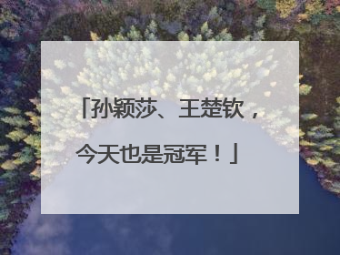 孙颖莎、王楚钦，今天也是冠军！