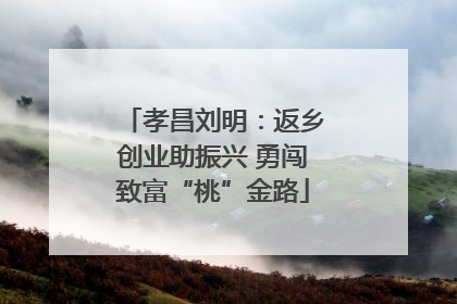 孝昌刘明：返乡创业助振兴 勇闯致富“桃”金路