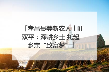 孝昌最美新农人丨叶双平：深耕乡土 托起乡亲“致富梦”