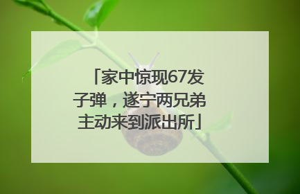 家中惊现67发子弹，遂宁两兄弟主动来到派出所