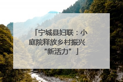 宁城县妇联：小庭院释放乡村振兴“新活力”