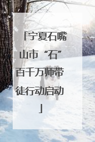 宁夏石嘴山市“石”百千万师带徒行动启动