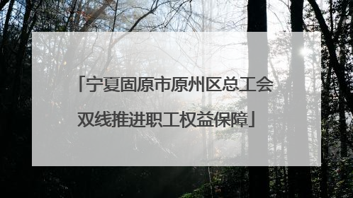 宁夏固原市原州区总工会双线推进职工权益保障