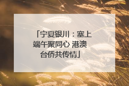 宁夏银川：塞上端午聚同心 港澳台侨共传情