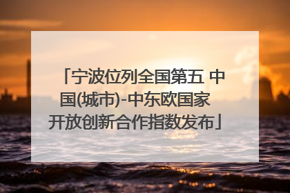 宁波位列全国第五 中国(城市)-中东欧国家开放创新合作指数发布