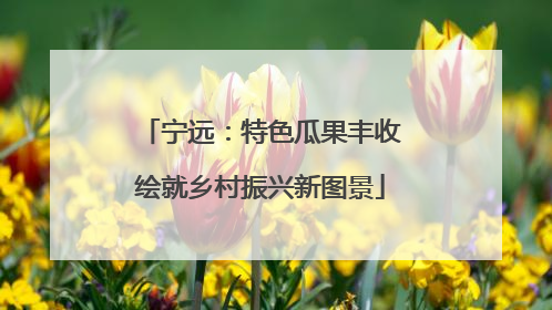 宁远：特色瓜果丰收绘就乡村振兴新图景