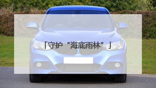 守护“海底雨林”