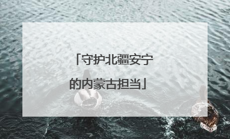 守护北疆安宁的内蒙古担当