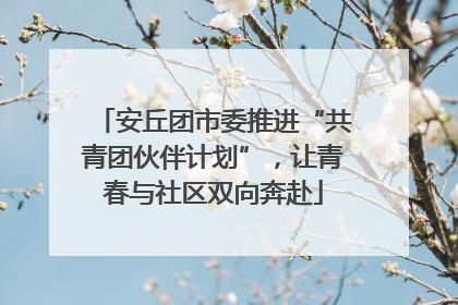 安丘团市委推进“共青团伙伴计划”，让青春与社区双向奔赴
