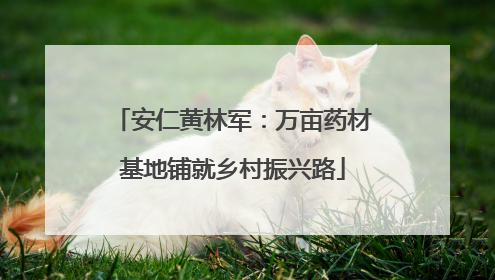 安仁黄林军：万亩药材基地铺就乡村振兴路