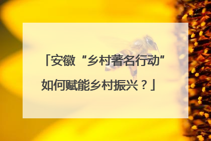 安徽“乡村著名行动”如何赋能乡村振兴？