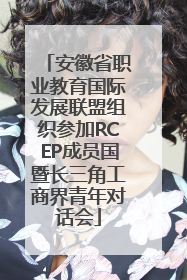 安徽省职业教育国际发展联盟组织参加RCEP成员国暨长三角工商界青年对话会