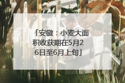 安徽：小麦大面积收获期在5月26日至6月上旬