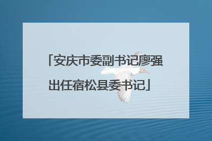 安庆市委副书记廖强出任宿松县委书记