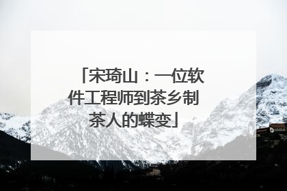 宋琦山：一位软件工程师到茶乡制茶人的蝶变