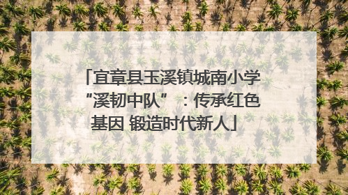 宜章县玉溪镇城南小学“溪韧中队”：传承红色基因 锻造时代新人