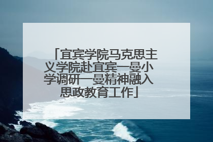 宜宾学院马克思主义学院赴宜宾一曼小学调研一曼精神融入思政教育工作