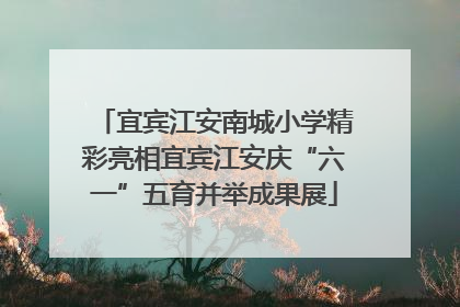 宜宾江安南城小学精彩亮相宜宾江安庆“六一”五育并举成果展