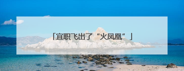 宜职飞出了“火凤凰”