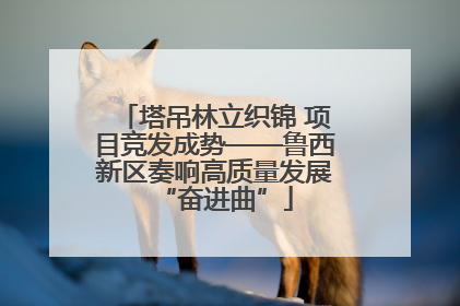 塔吊林立织锦 项目竞发成势——鲁西新区奏响高质量发展“奋进曲”