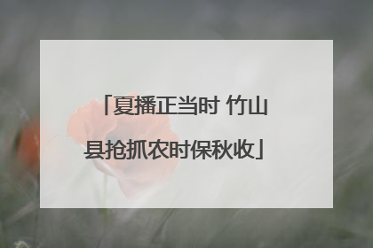 夏播正当时 竹山县抢抓农时保秋收