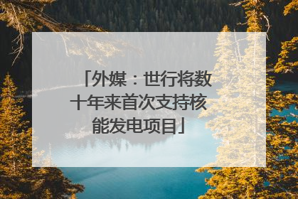 外媒：世行将数十年来首次支持核能发电项目