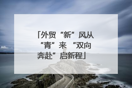外贸“新”风从“青”来 “双向奔赴”启新程