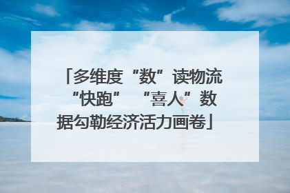多维度“数”读物流“快跑” “喜人”数据勾勒经济活力画卷