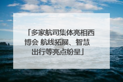 多家航司集体亮相西博会 航线拓展、智慧出行等亮点纷呈