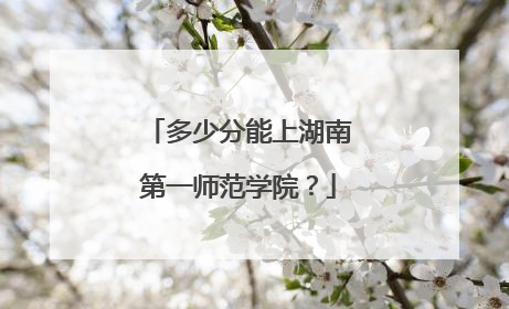 多少分能上湖南第一师范学院？