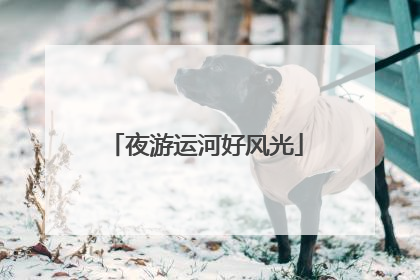 夜游运河好风光