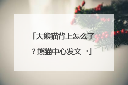 大熊猫背上怎么了？熊猫中心发文→