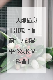 大熊猫身上出现“血洞”？熊猫中心发长文科普
