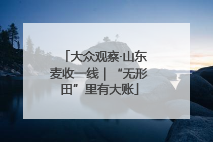 大众观察·山东麦收一线｜“无形田”里有大账