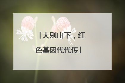 大别山下，红色基因代代传