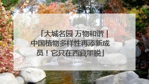 大城名园 万物和谐｜中国植物多样性再添新成员！它只在西藏墨脱