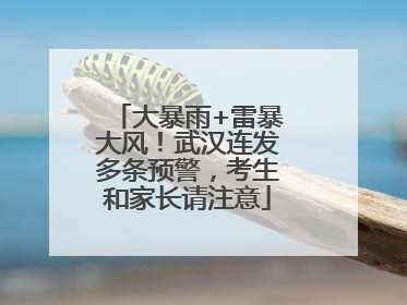 大暴雨+雷暴大风！武汉连发多条预警，考生和家长请注意