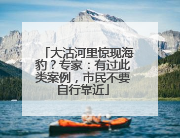 大沽河里惊现海豹？专家：有过此类案例，市民不要自行靠近