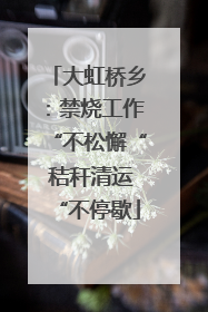 大虹桥乡：禁烧工作“不松懈“ 秸秆清运“不停歇