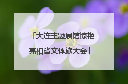 大连主题展馆惊艳亮相省文体旅大会
