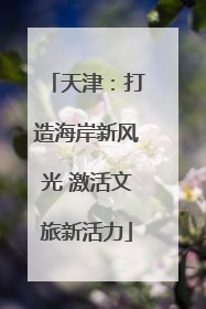 天津：打造海岸新风光 激活文旅新活力