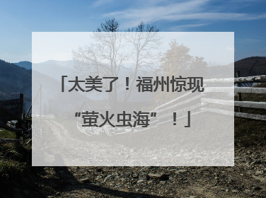 太美了！福州惊现“萤火虫海”！