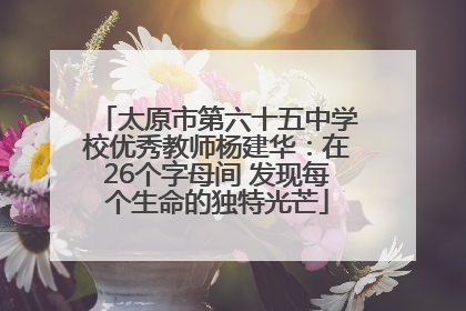 太原市第六十五中学校优秀教师杨建华：在26个字母间 发现每个生命的独特光芒