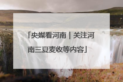 央媒看河南｜关注河南三夏麦收等内容