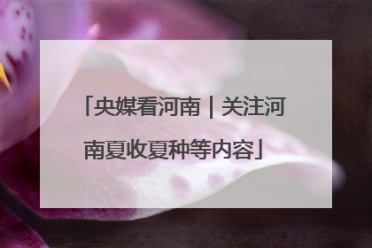 央媒看河南｜关注河南夏收夏种等内容